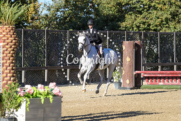 Steel_The_Show_(1203)_20241010_5341