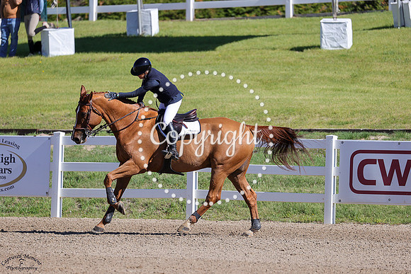 Dogano_De_Roulard_(1136)_20250614_3618