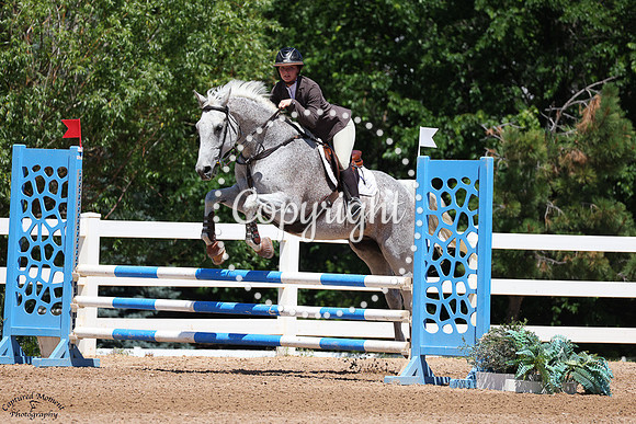 Limited_Edition_(1302)_20250626_2943