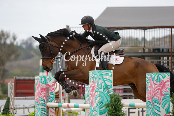 Livingston_(228)_20250416_0344