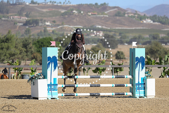 Affair_(1448)_20241019_5541