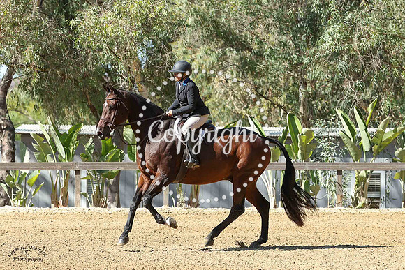 Chaccorrado_(943)_20241010_2954